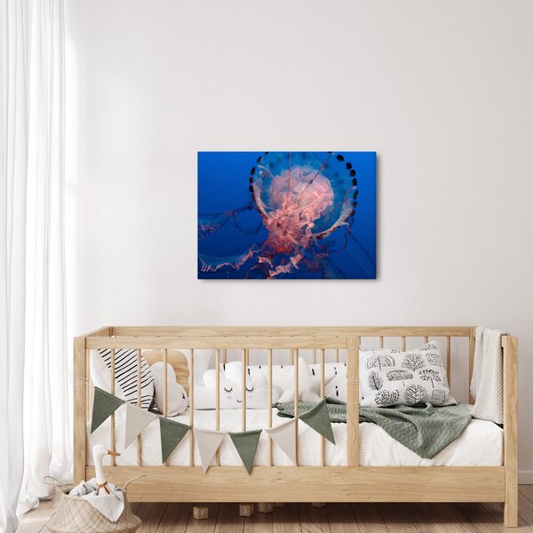 Obraz meduzy (70x50 cm)