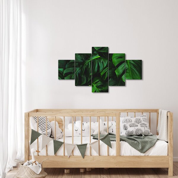 Obraz liści Monstery (125x70 cm)