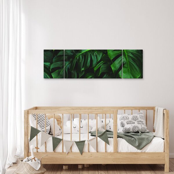 Obraz liści Monstery (170x50 cm)