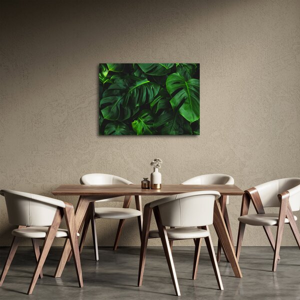 Obraz liści Monstery (70x50 cm)