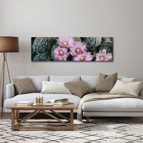 Obraz kwiatu kaktusa (170x50 cm)