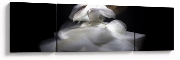 Obraz kwiatu lotosu (170x50 cm)