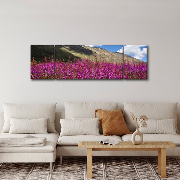 Obraz scenerii łąki górskiej (170x50 cm)