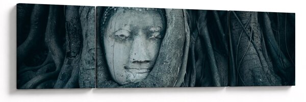 Obraz - Tajska twarz (170x50 cm)