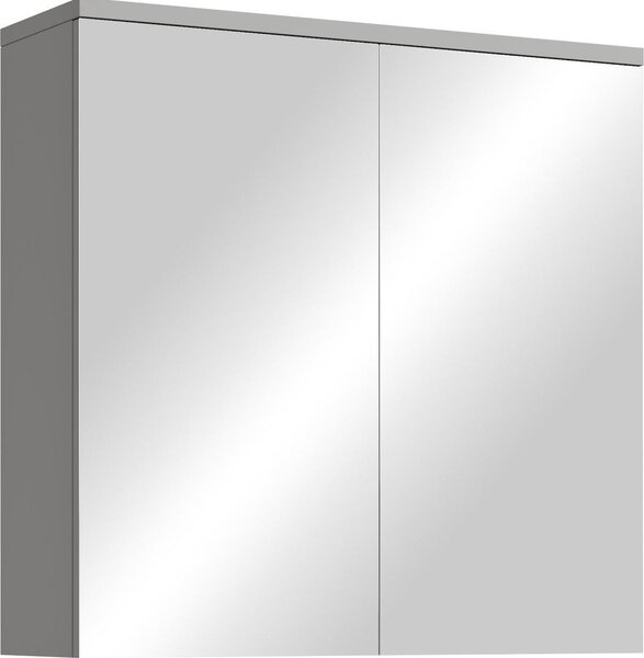 Szafka azienkowa z lustrem Toledo 60 x 60 cm szara matowa – szafka azienkowa z lustrem i 2 drzwiami