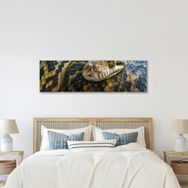 Obraz - Pyton (170x50 cm)