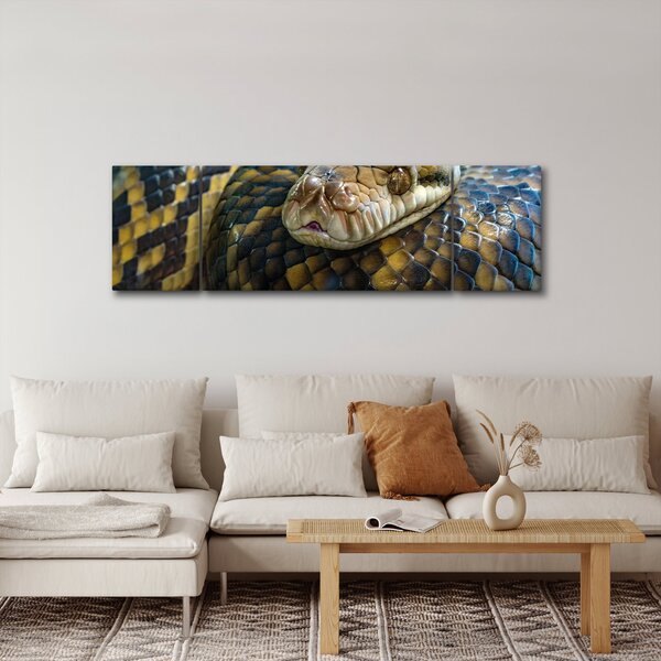 Obraz - Pyton (170x50 cm)