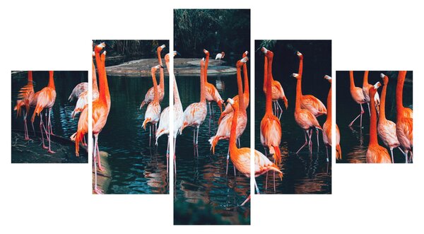 Obraz stada flamingów (125x70 cm)