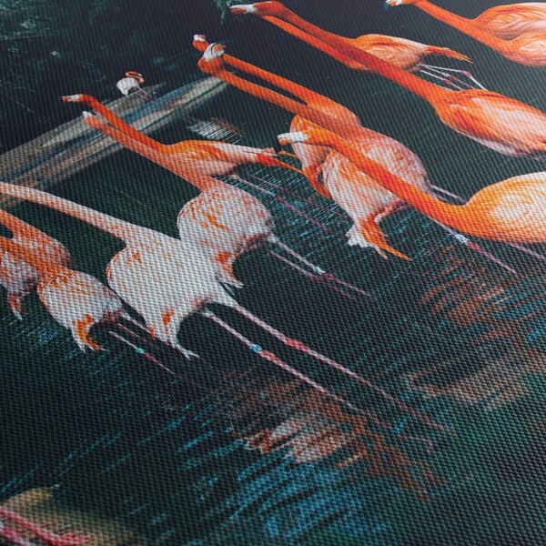 Obraz stada flamingów (170x50 cm)