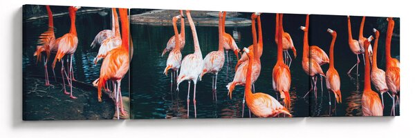 Obraz stada flamingów (170x50 cm)