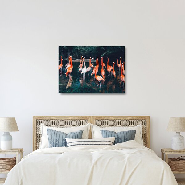 Obraz stada flamingów (70x50 cm)