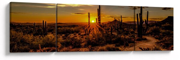 Obraz - Koniec dnia na pustyni w Arizonie (170x50 cm)