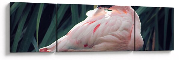 Obraz - Flaming (170x50 cm)