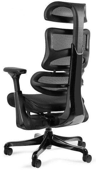 Fotel biurowy z siatki Ergothrone Black Gun, zgodny z normą BHP