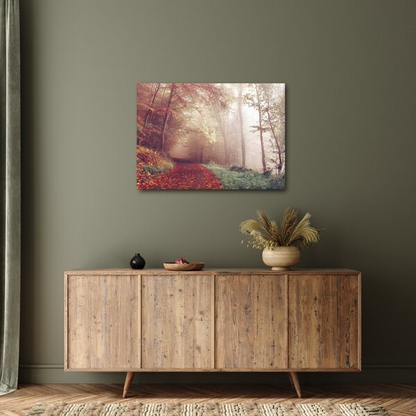 Obraz - Jesienny spacer po lesie (70x50 cm)
