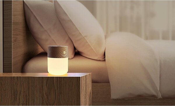 Elektryczny dyfuzor Smart – Gingko