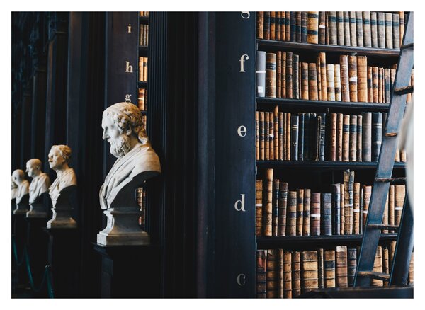Obraz - W bibliotece (70x50 cm)