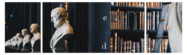 Obraz - W bibliotece (170x50 cm)