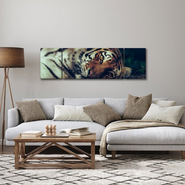Obraz - tygrys syberyjski (170x50 cm)