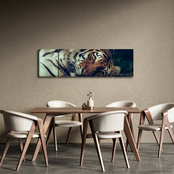 Obraz - tygrys syberyjski (170x50 cm)