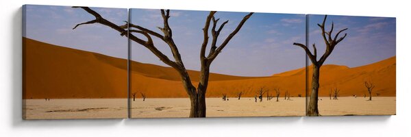 Obraz - Dolina Śmierci (170x50 cm)