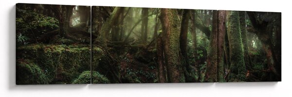 Obraz - Tajemniczy las (170x50 cm)