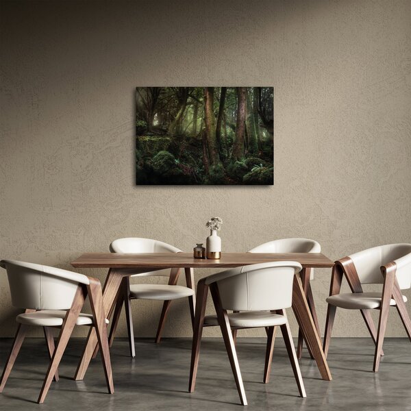 Obraz - Tajemniczy las (70x50 cm)