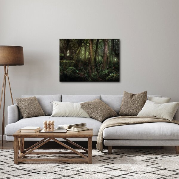 Obraz - Tajemniczy las (70x50 cm)