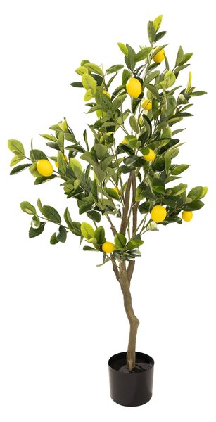 Drzewko cytrynowe Classic w doniczce 125 cm