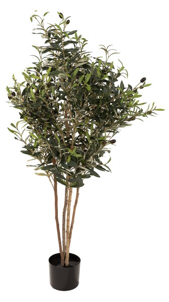 Drzewko oliwne w doniczce 130 cm