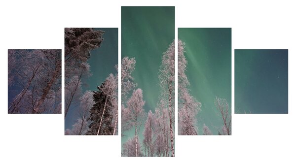 Obraz zorzy polarnej nad zamarzniętymi drzewami (125x70 cm)