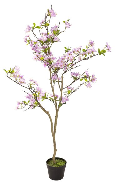 Drzewko Sakura w doniczce 130 cm