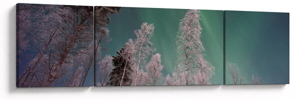 Obraz zorzy polarnej nad zamarzniętymi drzewami (170x50 cm)