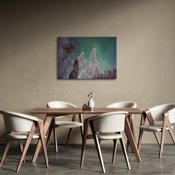 Obraz zorzy polarnej nad zamarzniętymi drzewami (70x50 cm)
