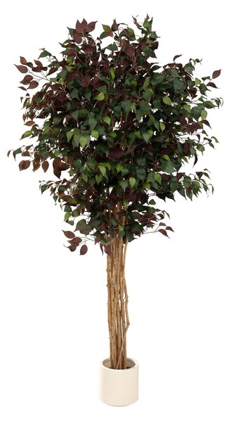 Drzewko dekoracyjne Burgundy w doniczce 210 cm