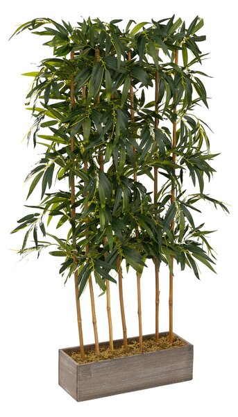 Bambus w dekoracyjnej skrzyni 155 cm