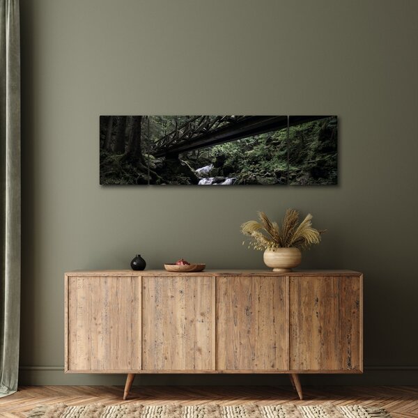 Obraz z czarnego lasu (170x50 cm)