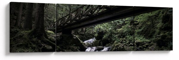 Obraz z czarnego lasu (170x50 cm)