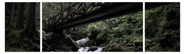 Obraz z czarnego lasu (170x50 cm)