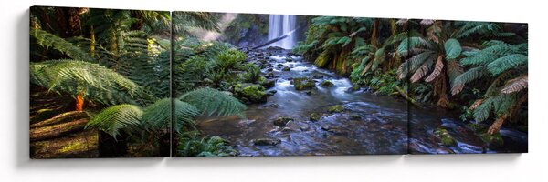 Obraz australijskiego lasu deszczowego (170x50 cm)