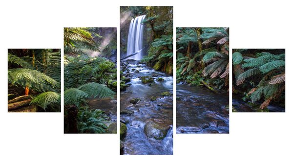 Obraz australijskiego lasu deszczowego (125x70 cm)