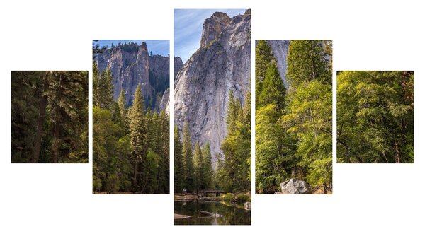 Obraz - Pod Yosemite Rock (125x70 cm)