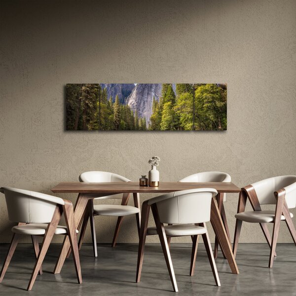 Obraz - Pod Yosemite Rock (170x50 cm)