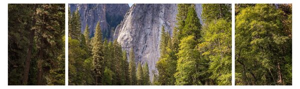 Obraz - Pod Yosemite Rock (170x50 cm)