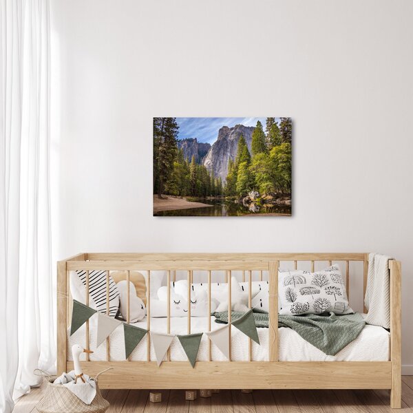 Obraz - Pod Yosemite Rock (70x50 cm)