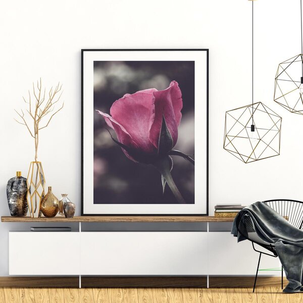 Plakat - Kwiat róży (A4)
