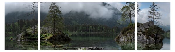 Obraz drzew w jeziorze (170x50 cm)