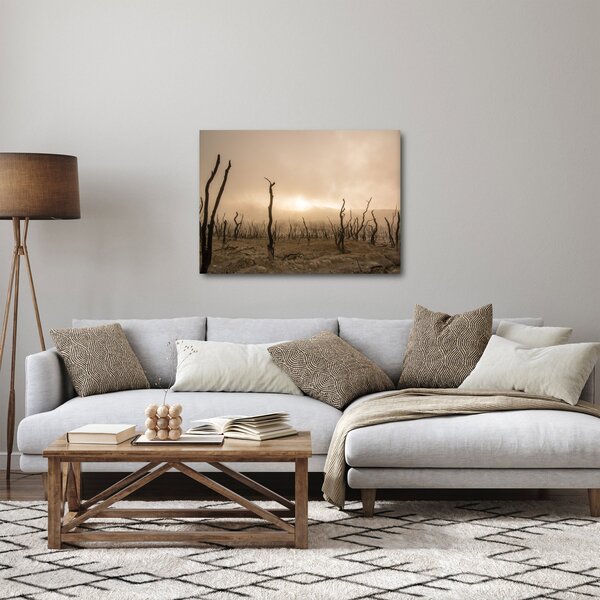 Obraz - Nagie drzewa (70x50 cm)