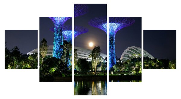 Obraz przedstawiający pełnię księżyca w ogrodach Singapuru (125x70 cm)