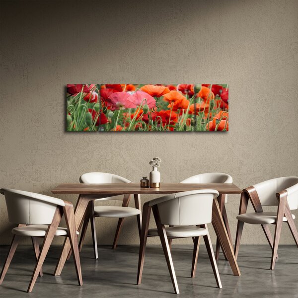 Obraz pola maków (170x50 cm)